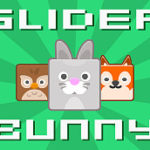 Slider Bunny