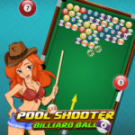 Pool Shooter Billiard Ball