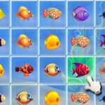 Fishing Puzzles